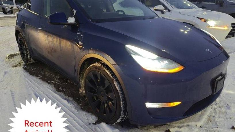 TESLA MODEL Y 2021 5YJYGDEE2MF118357 image